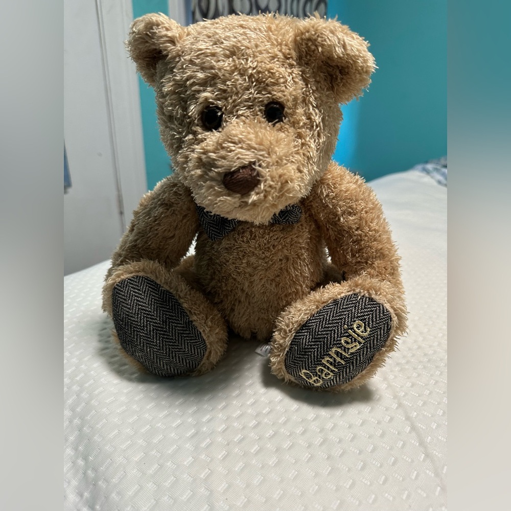 Barnes & Noble Plush Tan Teddy Bear